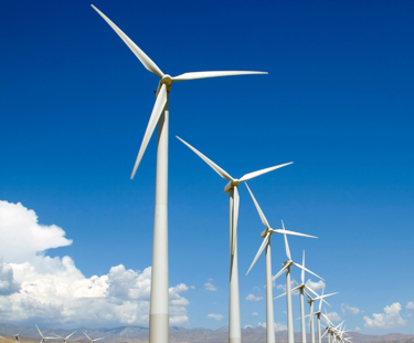 Secerna Website Images 2023 (11)