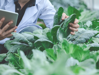 Agricultural Chemistry