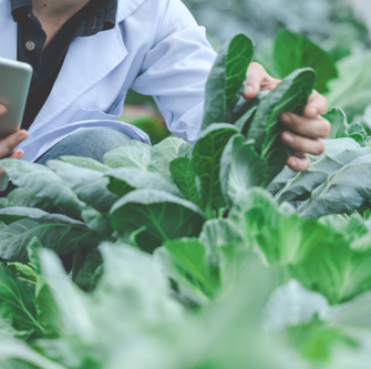 Agricultural Chemistry