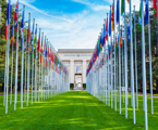 World Intellectual Property Organization Geneva