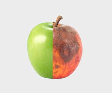 Secerna Website Images 2025 (22)