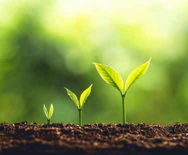 What the change in gene editing regulations means for IP in the UK