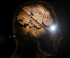 Brain With Cogs Jan 2022