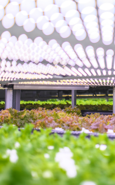 AgriTech and Intellectual Property