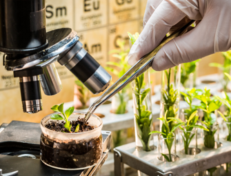 Plant Biotechnology (BioTech)